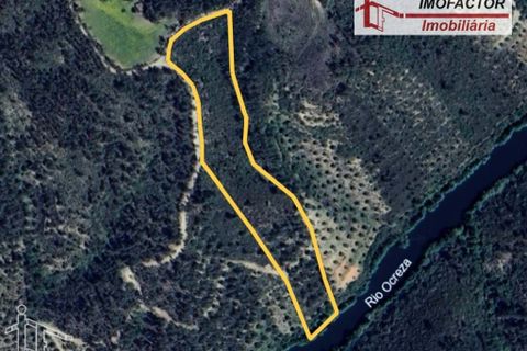 Helårsgrund i Castelo Branco, Castelo Branco, Castelo Branco - € 26.000 | Ref: 21-11849 - foto 19