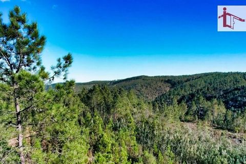 Helårsgrund i Castelo Branco, Castelo Branco, Castelo Branco - € 26.000 | Ref: 21-11849 - foto 20