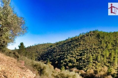 Helårsgrund i Castelo Branco, Castelo Branco, Castelo Branco - € 26.000 | Ref: 21-11849 - foto 22