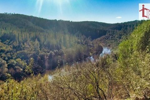 Helårsgrund i Castelo Branco, Castelo Branco, Castelo Branco - € 26.000 | Ref: 21-11849 - foto 24