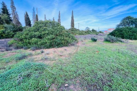 Helårsgrund i Guia, Faro, Guia - € 950.000 | Ref: T632 - foto 2