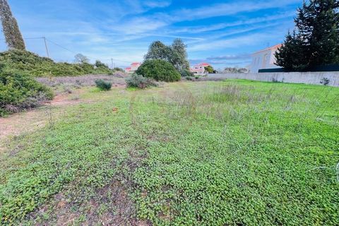 Helårsgrund i Guia, Faro, Guia - € 950.000 | Ref: T632 - foto 3