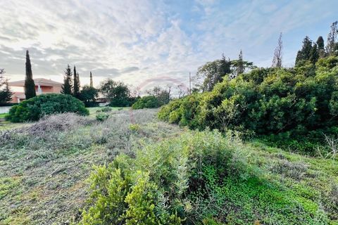Helårsgrund i Guia, Faro, Guia - € 950.000 | Ref: T632 - foto 4