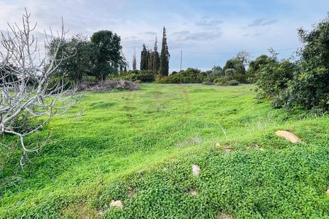 Helårsgrund i Guia, Faro, Guia - € 950.000 | Ref: T632 - foto 6