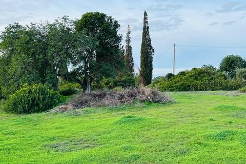 Helårsgrund i Guia, Faro, Guia - € 950.000 | Ref: T632 - foto 7