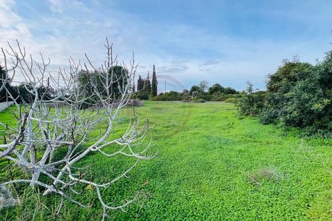 Helårsgrund i Guia, Faro, Guia - € 950.000 | Ref: T632 - foto 8