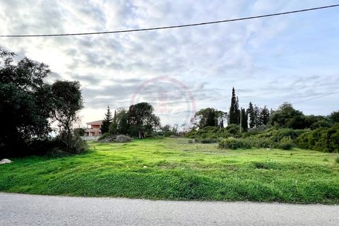 Helårsgrund i Guia, Faro, Guia - € 950.000 | Ref: T632 - foto 9