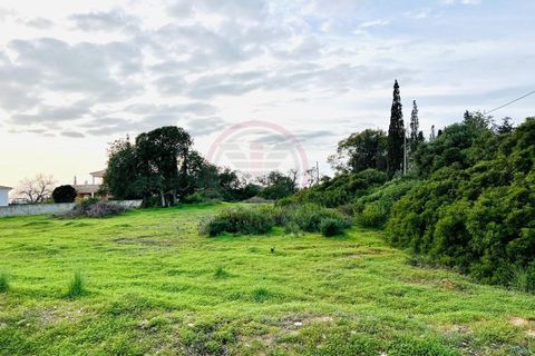 Helårsgrund i Guia, Faro, Guia - € 950.000 | Ref: T632 - foto 12