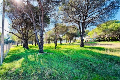 Helårsgrund i Almancil, Faro, Almancil - € 980.000 | Ref: T631 - foto 2