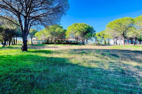 Helårsgrund i Almancil, Faro, Almancil - € 980.000 | Ref: T631 - foto 3