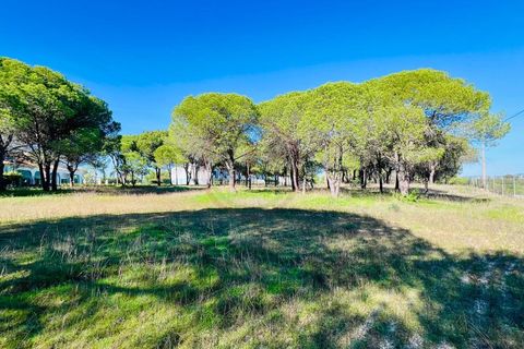 Helårsgrund i Almancil, Faro, Almancil - € 980.000 | Ref: T631 - foto 4