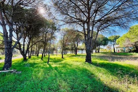 Helårsgrund i Almancil, Faro, Almancil - € 980.000 | Ref: T631 - foto 5