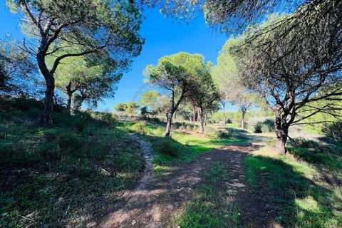 Helårsgrund i Almancil, Faro, Almancil - € 600.000 | Ref: t630 - foto 2