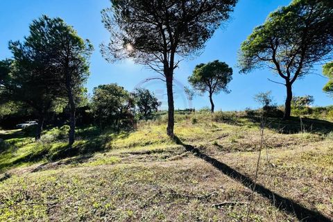 Helårsgrund i Almancil, Faro, Almancil - € 600.000 | Ref: t630 - foto 3
