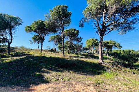 Helårsgrund i Almancil, Faro, Almancil - € 600.000 | Ref: t630 - foto 4