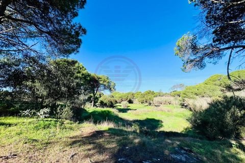 Helårsgrund i Almancil, Faro, Almancil - € 600.000 | Ref: t630 - foto 7