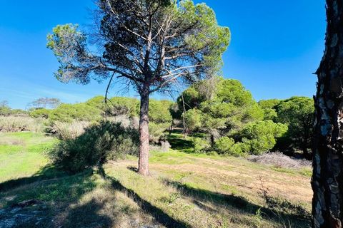 Helårsgrund i Almancil, Faro, Almancil - € 600.000 | Ref: t630 - foto 8
