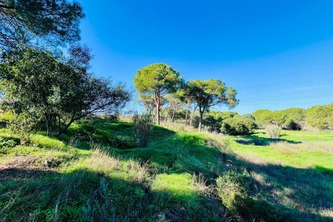Helårsgrund i Almancil, Faro, Almancil - € 600.000 | Ref: t630 - foto 9