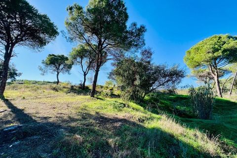 Helårsgrund i Almancil, Faro, Almancil - € 600.000 | Ref: t630 - foto 10