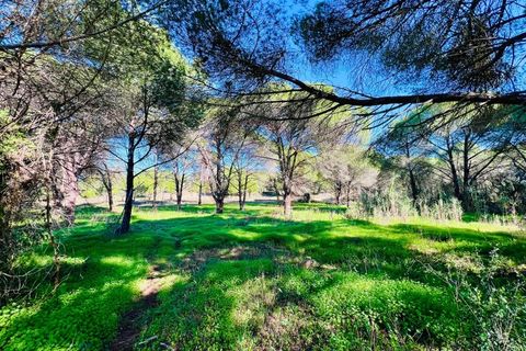 Helårsgrund i Almancil, Faro, Almancil - € 600.000 | Ref: t630 - foto 11