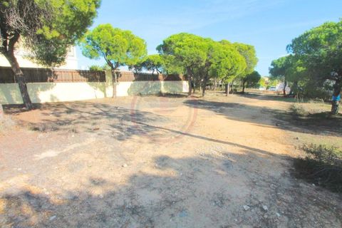 Helårsgrund i Almancil, Faro, Almancil - € 1.875.000 | Ref: t444 - foto 2