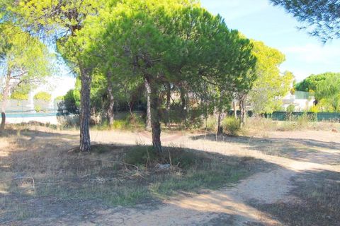 Helårsgrund i Almancil, Faro, Almancil - € 1.875.000 | Ref: t444 - foto 3