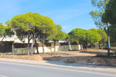 Helårsgrund i Almancil, Faro, Almancil - € 1.875.000 | Ref: t444 - foto 4