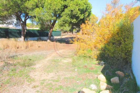 Helårsgrund i Almancil, Faro, Almancil - € 1.875.000 | Ref: t444 - foto 7