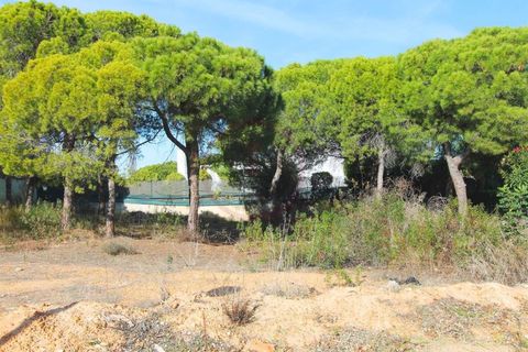 Helårsgrund i Almancil, Faro, Almancil - € 1.875.000 | Ref: t444 - foto 11
