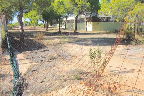 Helårsgrund i Almancil, Faro, Almancil - € 1.875.000 | Ref: t444 - foto 14