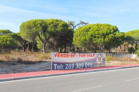 Helårsgrund i Almancil, Faro, Almancil - € 1.875.000 | Ref: t444 - foto 20