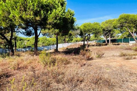 Helårsgrund i Almancil, Faro, Almancil - € 7.950.000 | Ref: T625 - foto 10