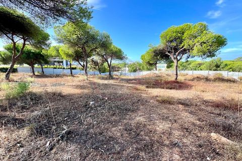 Helårsgrund i Almancil, Faro, Almancil - € 7.950.000 | Ref: T625 - foto 11