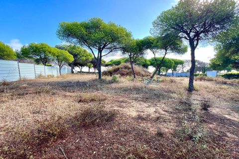 Helårsgrund i Almancil, Faro, Almancil - € 7.950.000 | Ref: T625 - foto 12