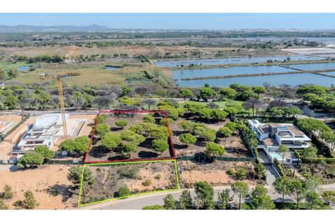 Helårsgrund i Almancil, Faro, Almancil - € 8.000.000 | Ref: T626 - foto 4