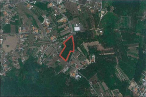 Helårsgrund i Agueda, Aveiro, Agueda - € 31.849 | Ref: TER_632 - foto 8