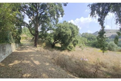 Helårsgrund i Lousa, Coimbra, Lousa - € 150.000 | Ref: W6337 - foto 1