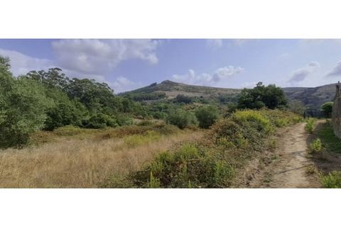 Helårsgrund i Lousa, Coimbra, Lousa - € 150.000 | Ref: W6337 - foto 2