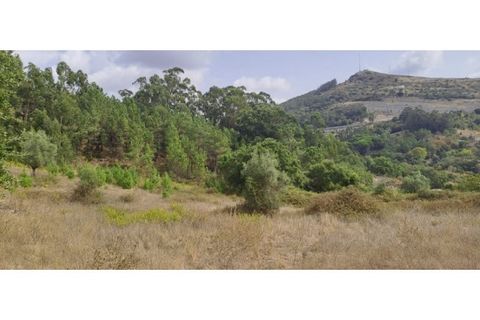 Helårsgrund i Lousa, Coimbra, Lousa - € 150.000 | Ref: W6337 - foto 5