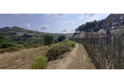 Helårsgrund i Lousa, Coimbra, Lousa - € 150.000 | Ref: W6337 - foto 6