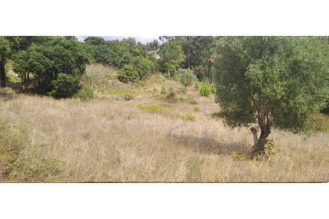 Helårsgrund i Lousa, Coimbra, Lousa - € 150.000 | Ref: W6337 - foto 9