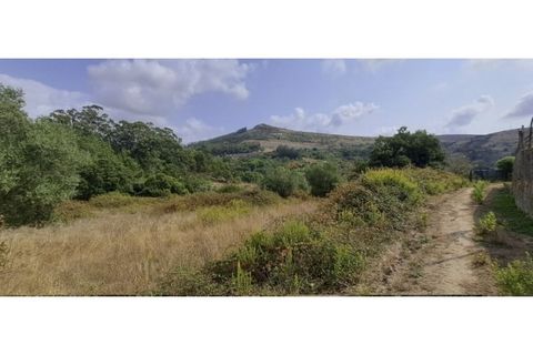 Helårsgrund i Lousa, Coimbra, Lousa - € 150.000 | Ref: W6337 - foto 11