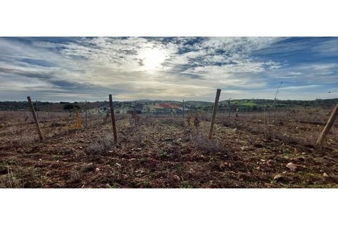 Helårsgrund i Sao Pedro do Corval, Evora, Sao Pedro do Corval - € 110.000 | Ref: SÒL_363 - foto 4