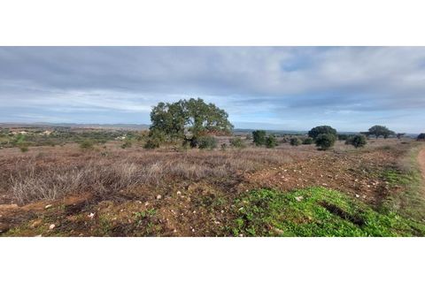Helårsgrund i Sao Pedro do Corval, Evora, Sao Pedro do Corval - € 110.000 | Ref: SÒL_363 - foto 2