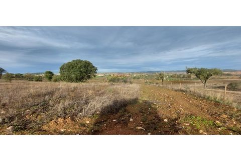 Helårsgrund i Sao Pedro do Corval, Evora, Sao Pedro do Corval - € 110.000 | Ref: SÒL_363 - foto 7