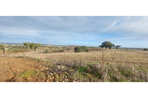 Helårsgrund i Sao Pedro do Corval, Evora, Sao Pedro do Corval - € 110.000 | Ref: SÒL_363 - foto 8
