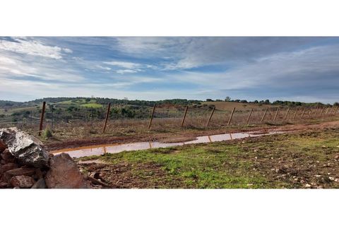 Helårsgrund i Sao Pedro do Corval, Evora, Sao Pedro do Corval - € 110.000 | Ref: SÒL_363 - foto 10
