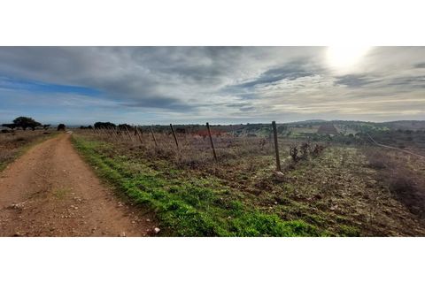 Helårsgrund i Sao Pedro do Corval, Evora, Sao Pedro do Corval - € 110.000 | Ref: SÒL_363 - foto 1