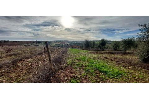 Helårsgrund i Sao Pedro do Corval, Evora, Sao Pedro do Corval - € 110.000 | Ref: SÒL_363 - foto 12