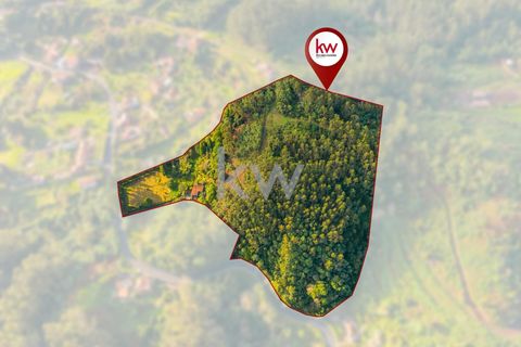 Farm i Machico, Madeira, Machico - € 1.550.000 | Ref: KWPT-006613 - foto 6